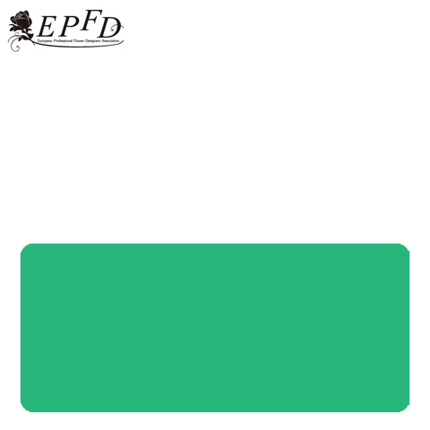 アクセサリーボックス