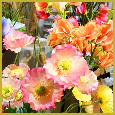 フラワーアレンジメントご注文について